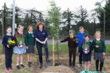 TREE PLANTING BY 7 LOCAL PRIMARY SCHOOL AT WARRENPOINT PORT - Warrenpoint Port Tree Planting