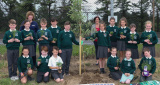 TREE PLANTING BY 7 LOCAL PRIMARY SCHOOL AT WARRENPOINT PORT - Warrenpoint Port Tree Planting