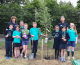 TREE PLANTING BY 7 LOCAL PRIMARY SCHOOL AT WARRENPOINT PORT - Warrenpoint Port Tree Planting