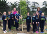 TREE PLANTING BY 7 LOCAL PRIMARY SCHOOL AT WARRENPOINT PORT - Warrenpoint Port Tree Planting