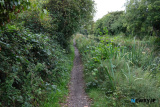 Travelling the Royal Canal Greenway. Day one - Spencer Dock to Moyvalley Resort. Photograph: Columba O'Hare/ Newry.ie - Royal Canal Greenway Cycle 2022