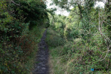 Travelling the Royal Canal Greenway. Day one - Spencer Dock to Moyvalley Resort. Photograph: Columba O'Hare/ Newry.ie - Royal Canal Greenway Cycle 2022