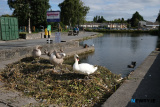 Travelling the Royal Canal Greenway. Day one - Spencer Dock to Moyvalley Resort. Photograph: Columba O'Hare/ Newry.ie - Royal Canal Greenway Cycle 2022