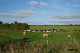 Travelling the Royal Canal Greenway. Day one - Spencer Dock to Moyvalley Resort. Photograph: Columba O'Hare/ Newry.ie - Royal Canal Greenway Cycle 2022