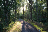 Travelling the Royal Canal Greenway. Day one - Spencer Dock to Moyvalley Resort. Photograph: Columba O'Hare/ Newry.ie - Royal Canal Greenway Cycle 2022