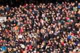 A packed stand at the Athletic Grounds for the Armagh County Football Final between Crossmaglen and Ballymacnab. Photograph: Columba O'Hare/ Newry.ie - Armagh Senior Football Final 2019