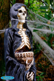 Skeleton staff at Narrow Water Castle. Photograph: Columba O'Hare - The Ghost of Halloween