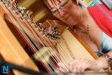 Patricia Daly on the Harp. - Night Out Grounded May 2008