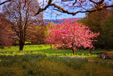 Celebration of Spring - Newry.ie Photographer of the Year April Round - The Season of Spring