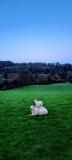 8th Place overall is Gerry Rice with 28 points. Judges loved the potential but the image fell down in the framing. - Newry.ie Photographer of the Year April Round - The Season of Spring
