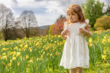 Beauty in the Blossom - Newry.ie Photographer of the Year April Round - The Season of Spring