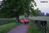 Darkness into Light at Derramore Forest