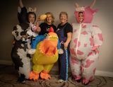Udderly Ridiculous - St Killians GAC Family Fortunes 2025