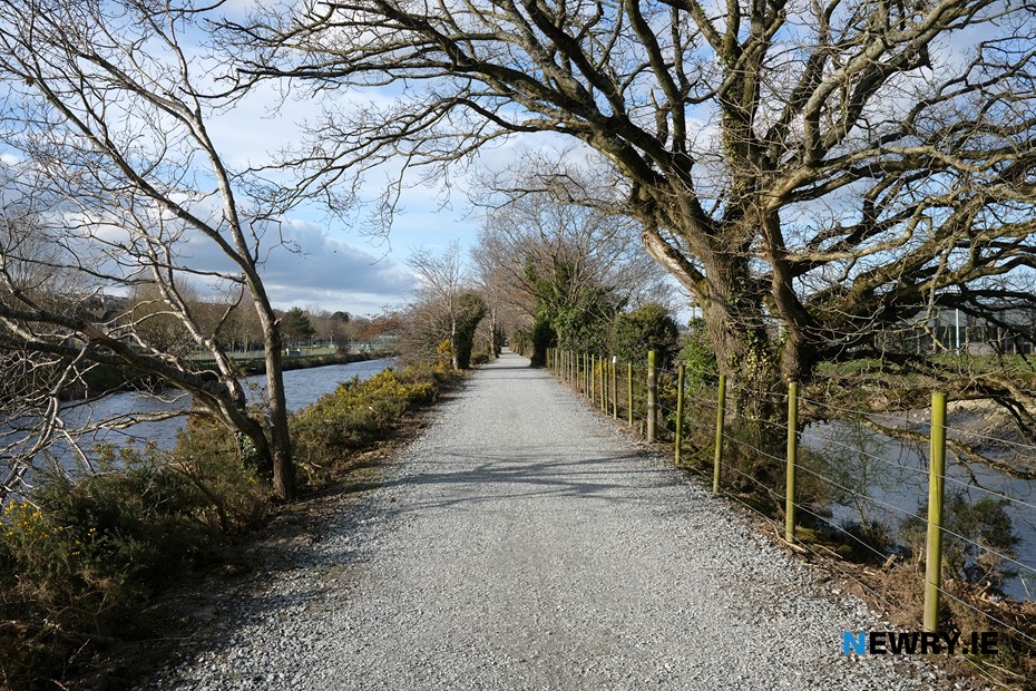 Carlingford Lough Greenway. Photograph: Columba O'Hare/ Newry.ie 