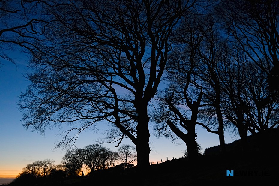 Slieve Gullion Forest Park. Photograph: Columba O'Hare/ Newry.ie 