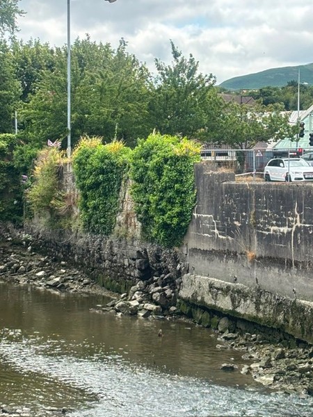 One of the sections of river wall in disrepair