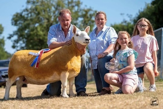 The Rowan family, Ballintogher Cheviots owned the NISA Danske Bank Sheep Champion at Castlewellan Show.