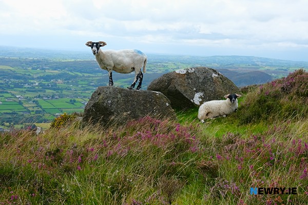 Slieve Gullion. Photograph: Columba O'Hare/ Newry.ie 