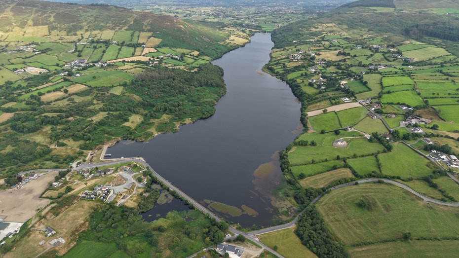 Algae on the lake at Camlough.