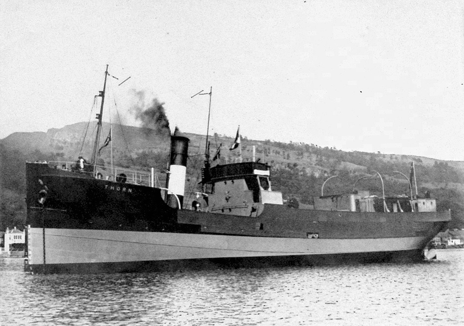 The S.S. Thorn followed the company’s tradition of naming ships after trees. Other ships were named after places close to Newry. Newry & Mourne Museum Collection
