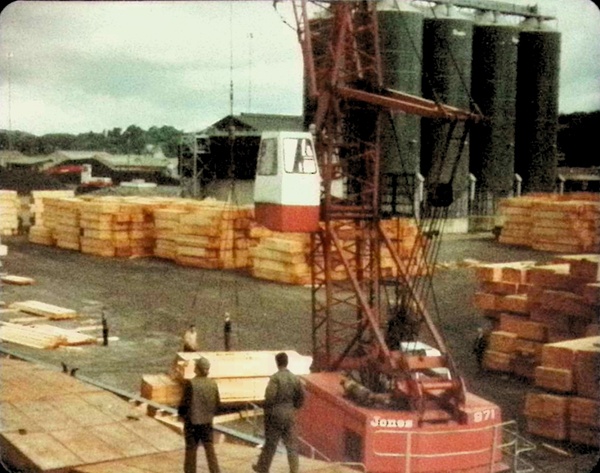 Timber being unloaded at Warrenpoint docks.  Newry & Mourne Museum Collection.