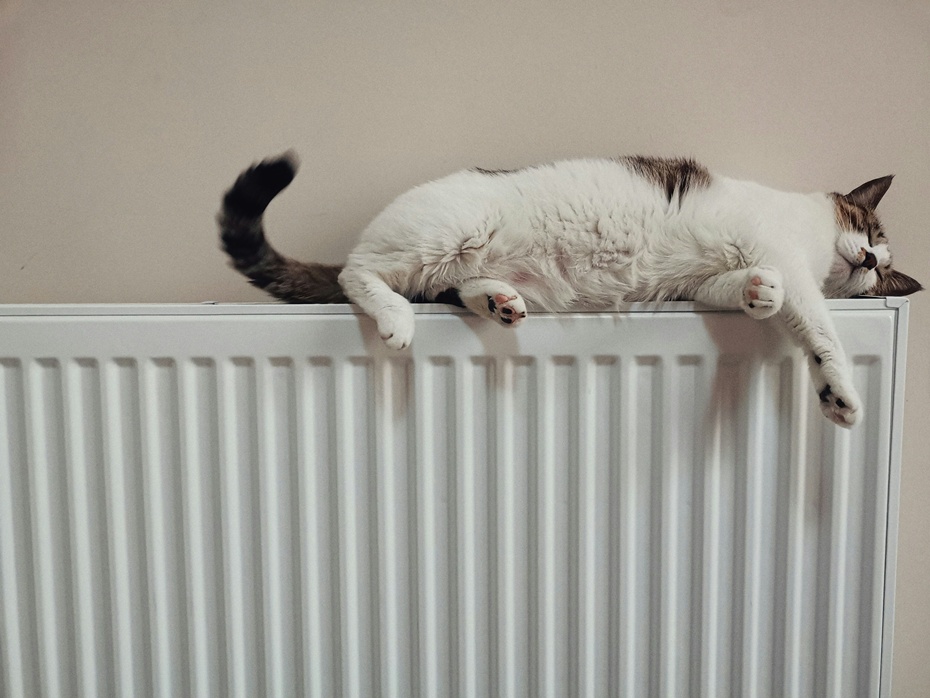 Photograph: He Gong/ Unsplash