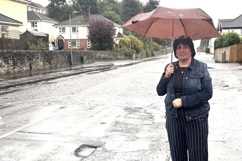 Cllr Valerie Harte.