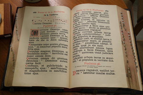 Sample pages
