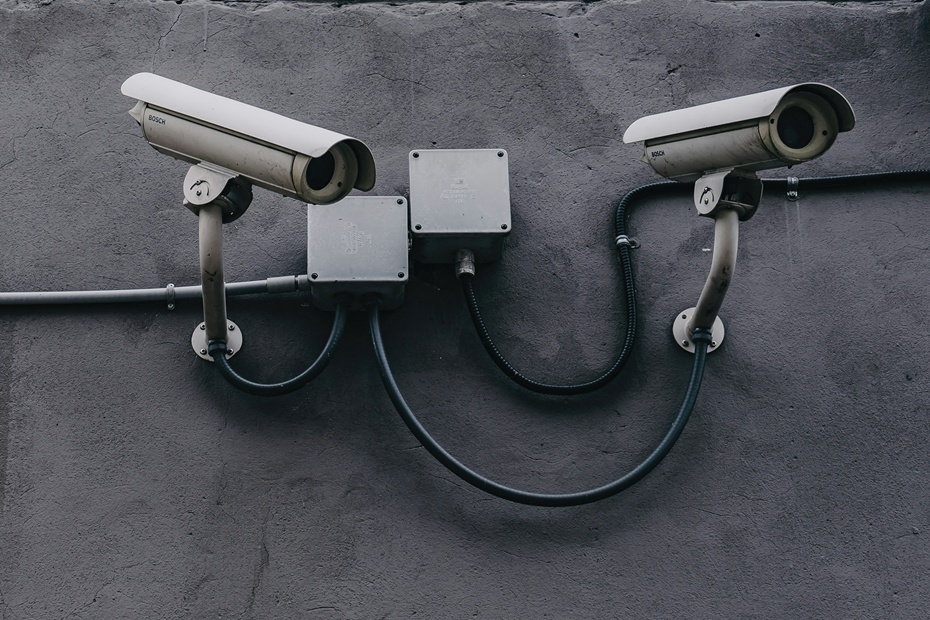 Stock photo. Photograph: Scott Webb/ Unsplash