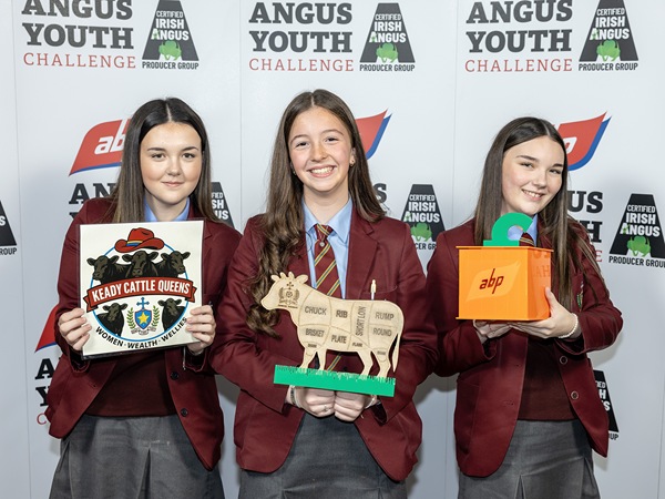 Pictured taking part in the 2025 ABP Angus Youth Challenge Exhibition for a place in the final of the competition is the team from St Patrick’s School, Keady - pupils Sally McKee, Grainne Anderson and Minnie McKee.