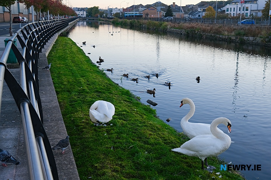 Newry Canal. Photograph: Columba O'Hare/ Newry.ie 