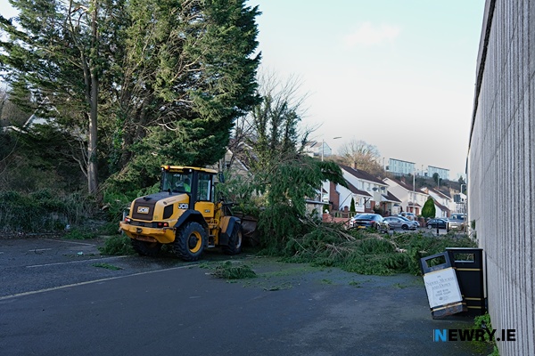 A tree blocks the road at Daisy Hill Hospital.