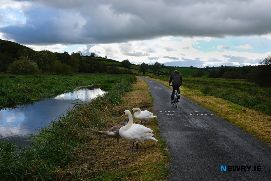 Newry Canal Towpath. Photograph: Columba O'Hare/ Newry.ie 