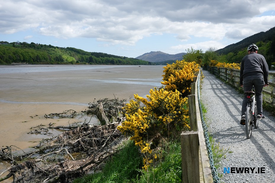 The Carlingford Lough Greenway. Photograph: Columba O'Hare/ Newry.ie 