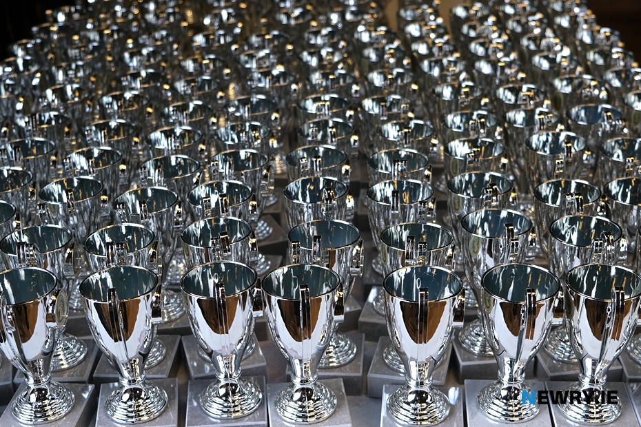 Newry Feis Awards