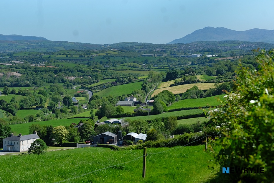 Farmers are urged to complete the 2026 DAERA census. Photograph: Columba O'Hare/ Newry.ie 