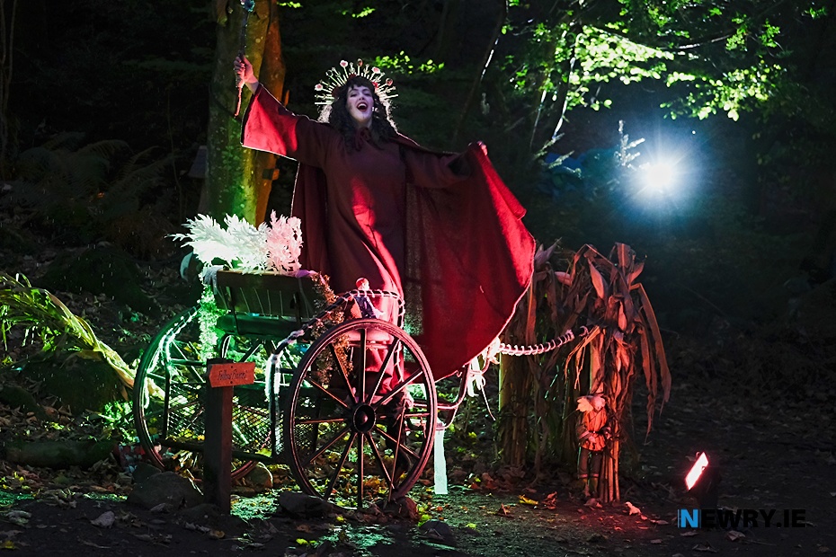 Footsteps in the Forest 2025. Photograph: Columba O'Hare/ Newry.ie 