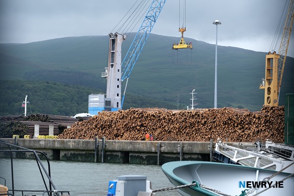 Poles stored at Warrenpoint Port. Photograph: Columba O'Hare/ Newry.ie 