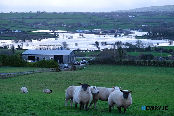 Flooding on either side of the Hilltown Road at Derryleckagh.