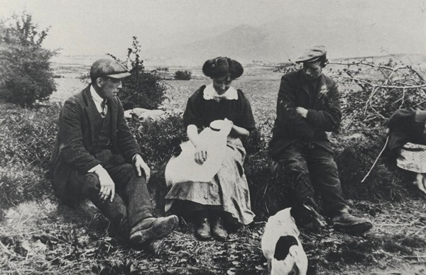 Flowering at Hilltown. Collection of Newry & Mourne Museum.