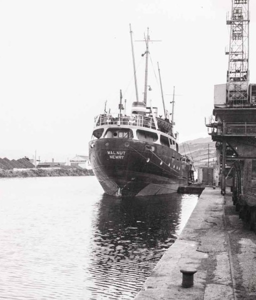 In 1973, the M.V. Walnut, one of the last Newry colliers, was sold. Her captain, William Cahoon, was known for cheekily exceeding the canal’s four-mile-per-hour speed limit, remarking that it made little difference as the canal was nearing closure. Collection of Armagh County Museum.