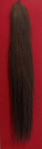 Tail of Mrs Anne Gordon’s faithful horse, which rode from Templegowran to Belfast without stopping and died shortly afterwards. Newry & Mourne Museum Collection