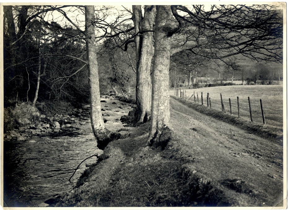 Photograph of the Fairy Glen, Rostrevor, 1939, showing the right of way. Part of the court case for public access. Newry and Mourne Museum Collection.