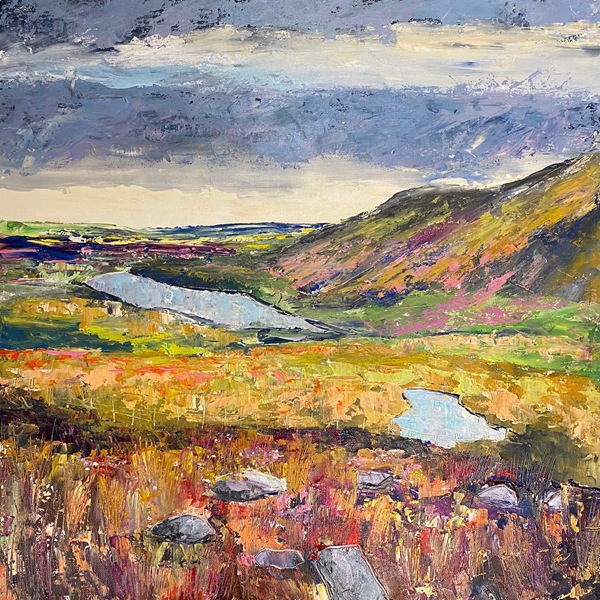 Shifting Light Camlough Lake by Adrian Margey