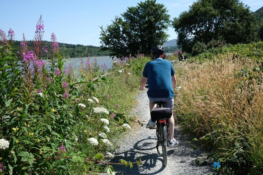 An overgrown and gravel laden section of the path on Sunday past, 13 July. Photograph: Columba O'Hare/ Newry.ie 