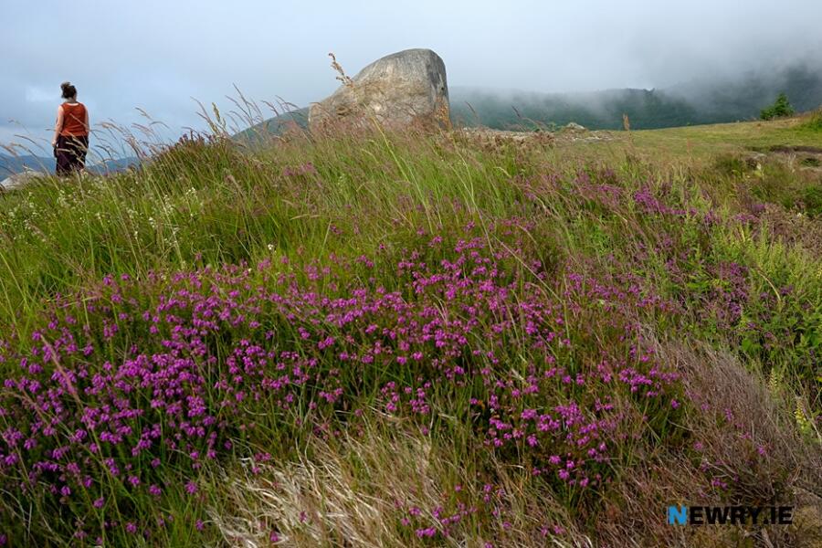The Cloughmore Stone at Kilbroney. Photograph: Columba O'Hare/ Newry.ie 