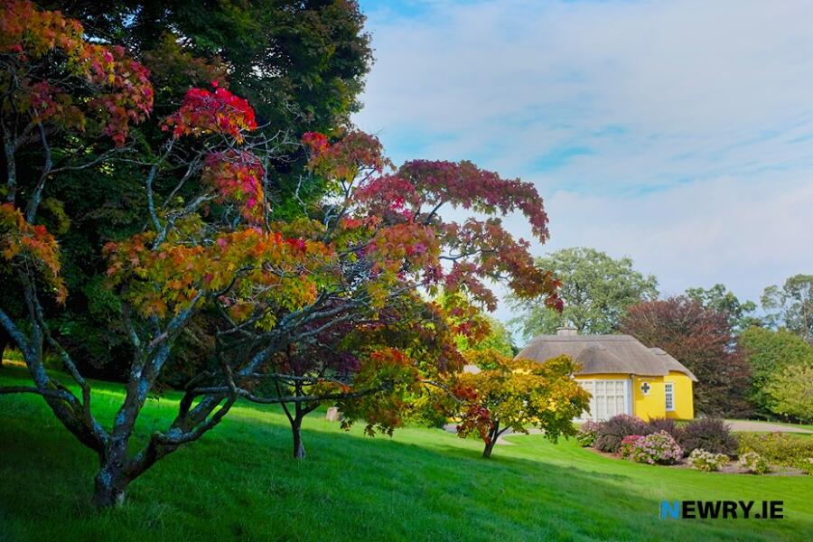 Derramore woods and house.
