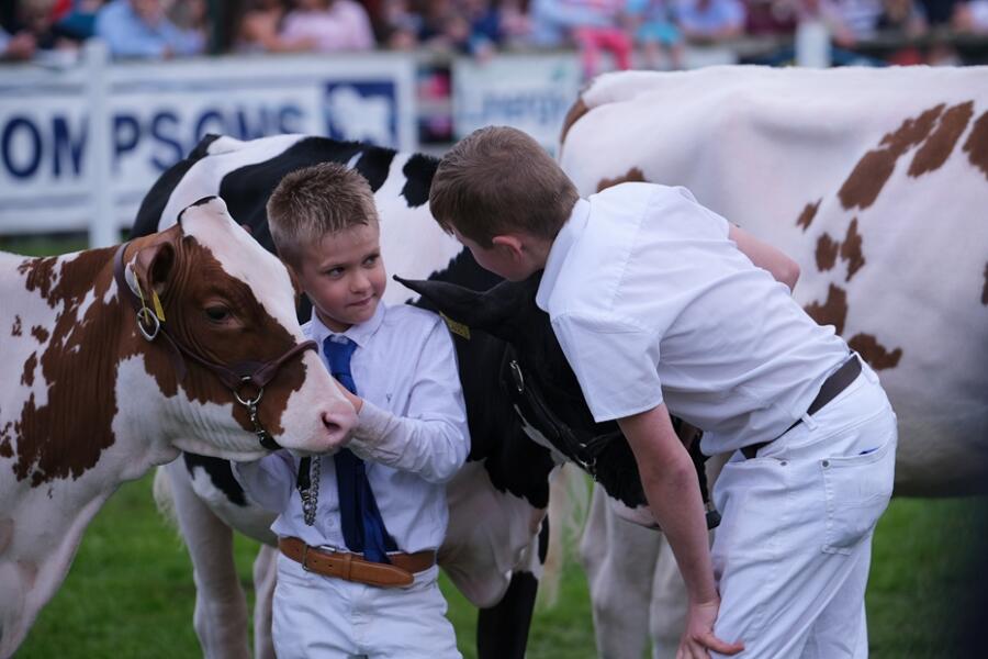 Balmoral Show.