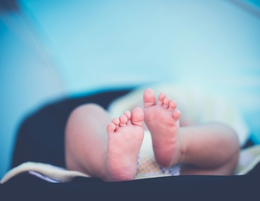 Photograph: Janko Ferlic/ Unsplash