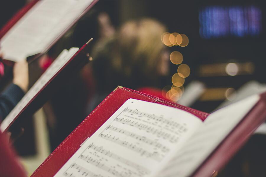Photograph: David Beale/ Unsplash